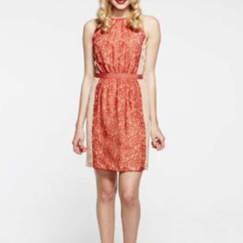 Paper Crown Coral Nude Lace Front Mini Sheath Dress
